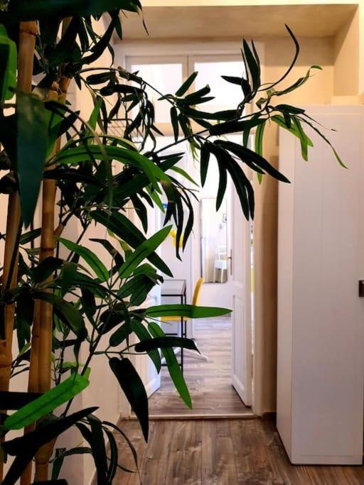 Charming House Appartamento Roma
